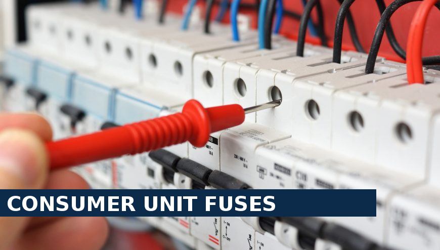 Consumer unit fuses Lee